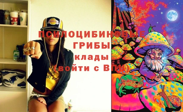 сатива Лагань