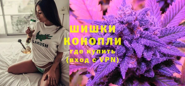 сатива Лагань