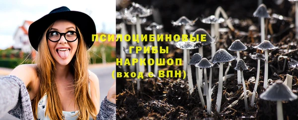 сатива Лагань
