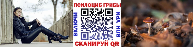 Псилоцибиновые грибы мицелий  Микунь 